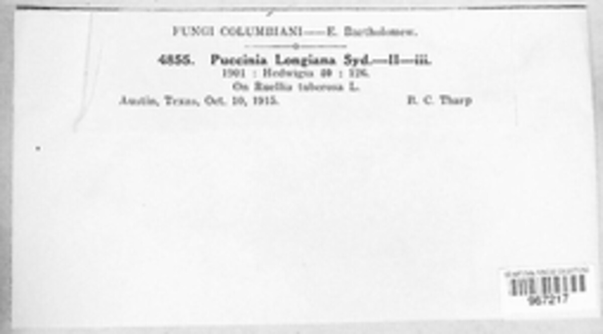 Puccinia longiana image